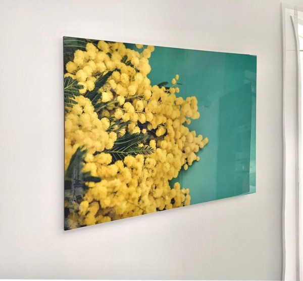 "Mimosas par centaines", tableau de l'artiste ségolène trousset